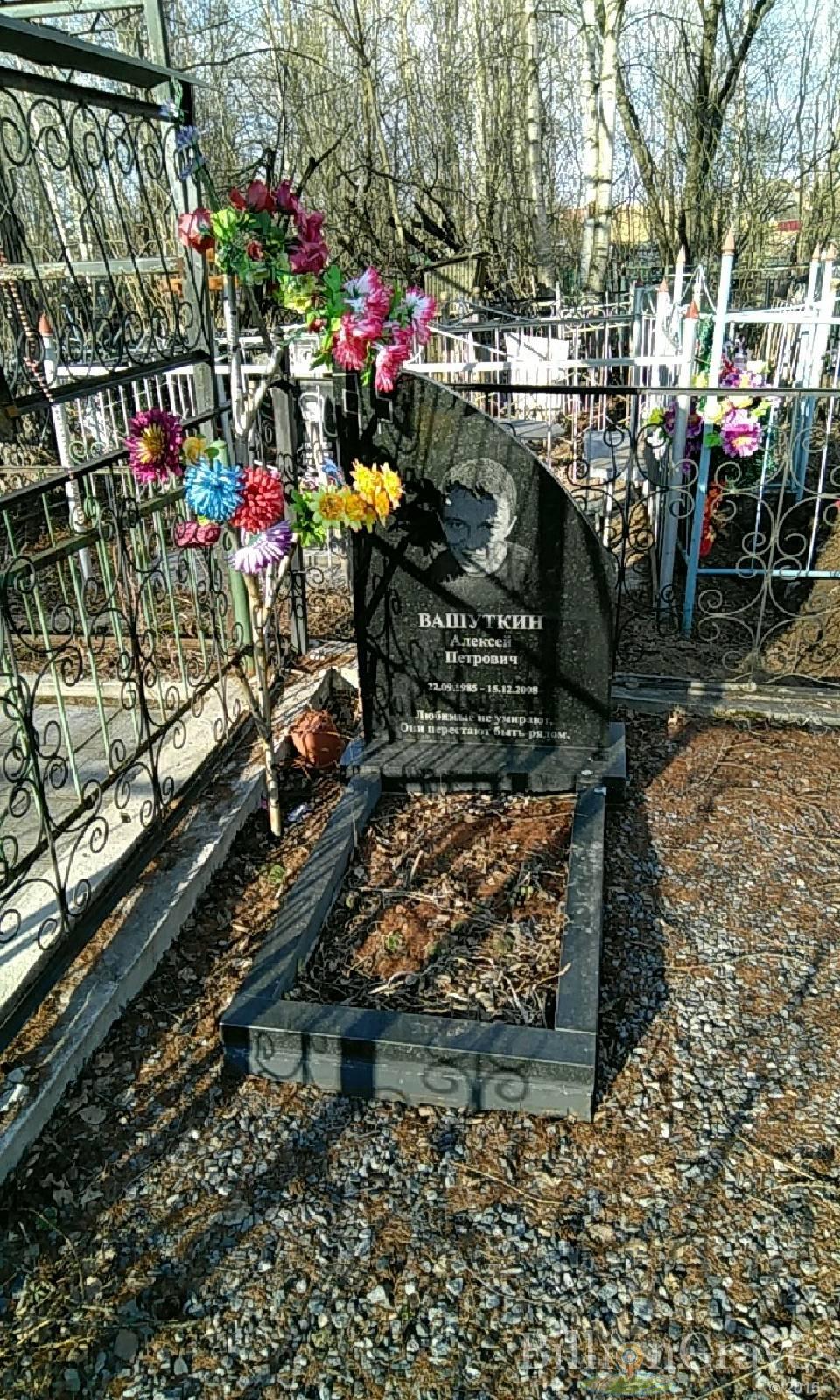 вашуткин алексей петрович