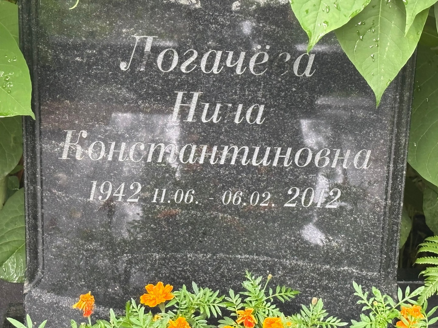 Логачева