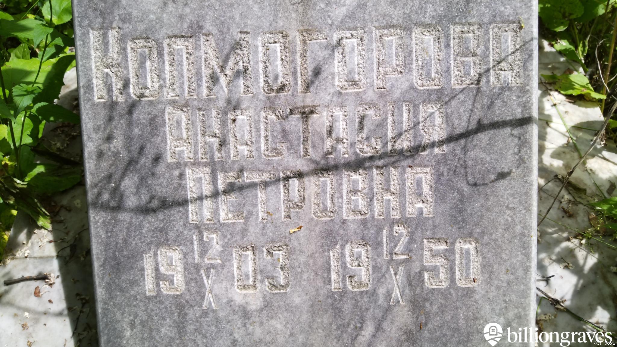 Колмогорова Анастасия Петровна