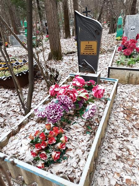 Чехомов Валерий Григорьевич