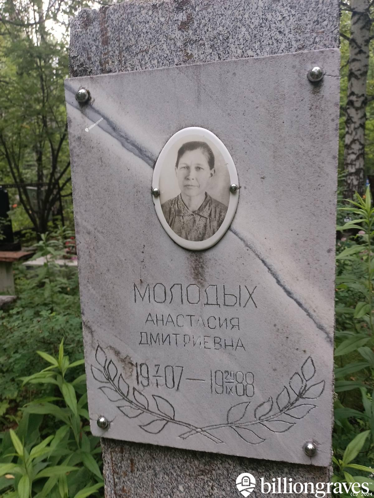 Молодых Анастасия Дмитриевна