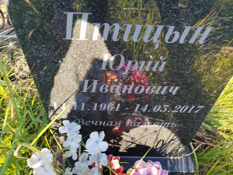 Птицын