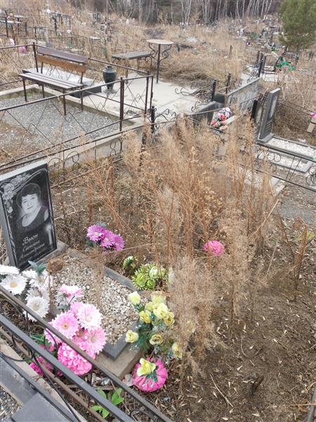 Вьюн Светлана Александровна