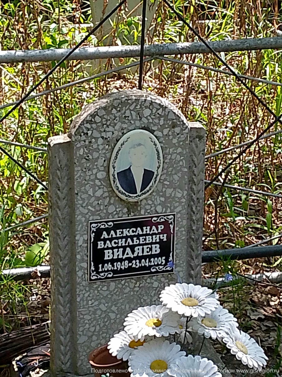 Видяев Александр Васильевич