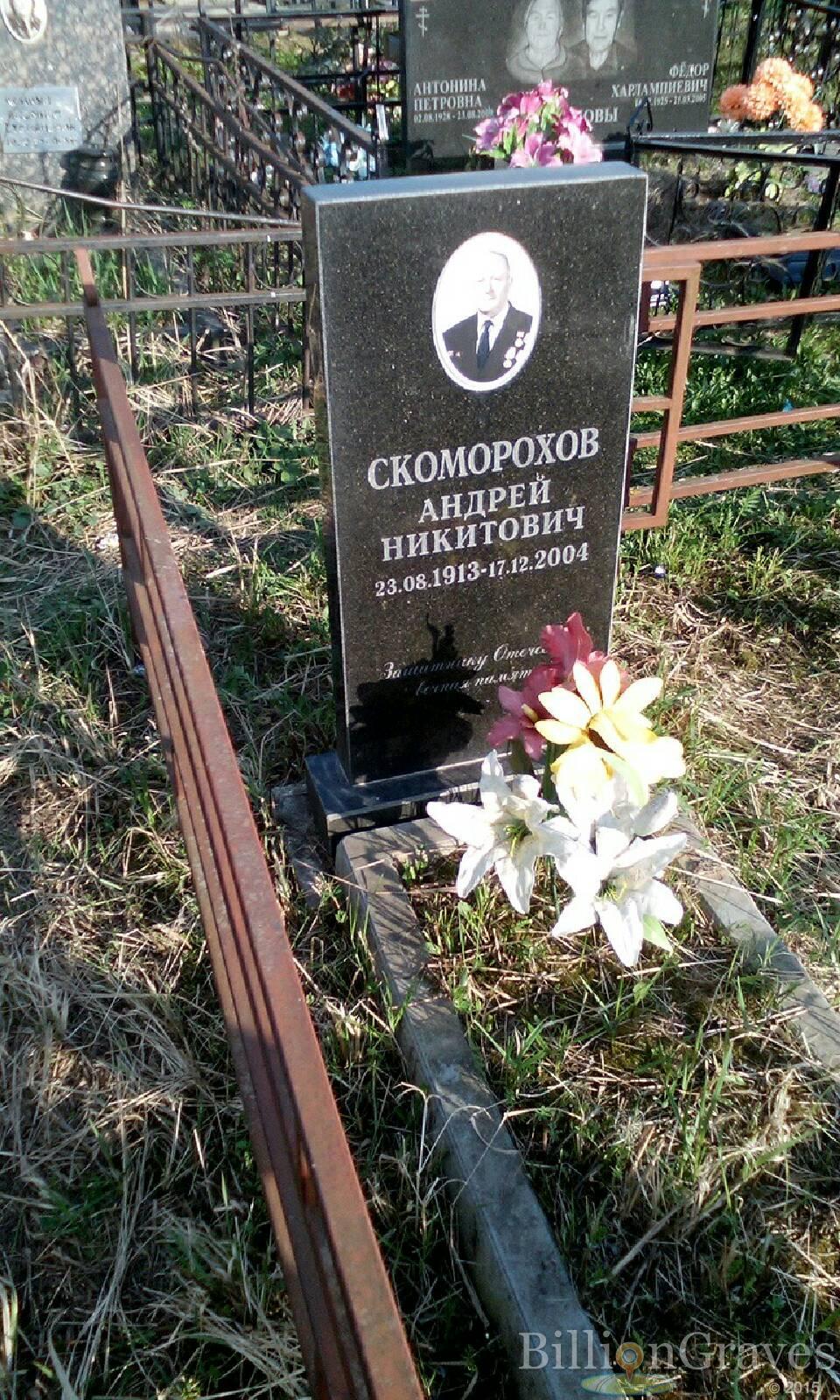 скоморохов андрей никитович