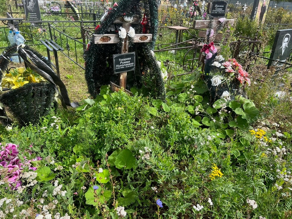 Токарева Римма Николаевна