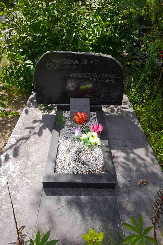 Демаховская Р. А.