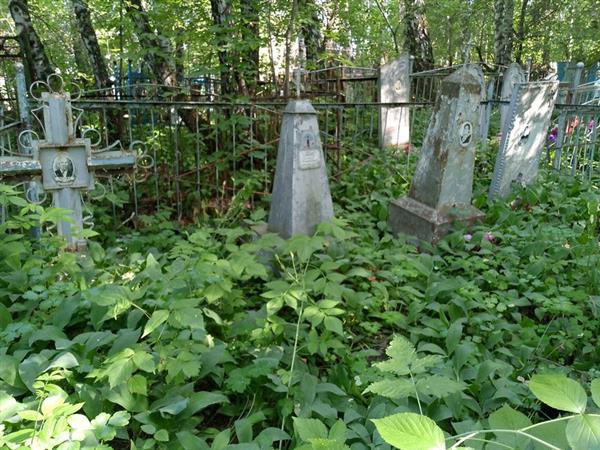 Терищук Альбина Никитична