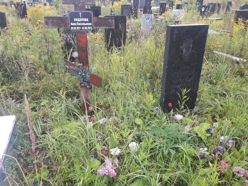 Сидорова Анна Васильевна