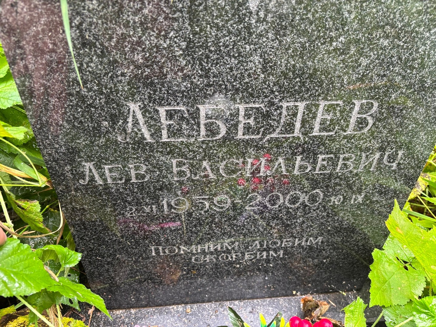 Лев Лебедев Васильевич