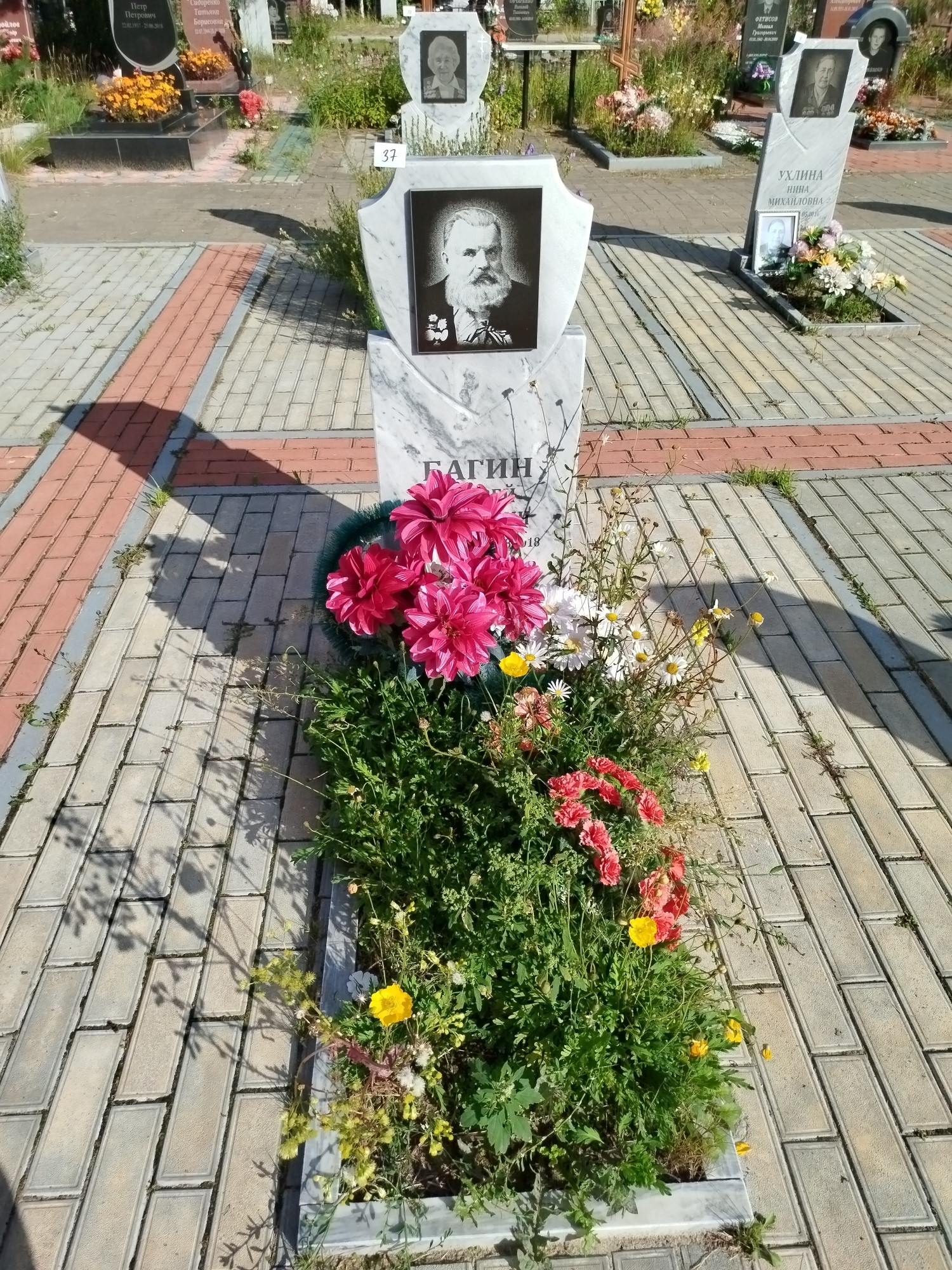 Багин Андрей Иванович