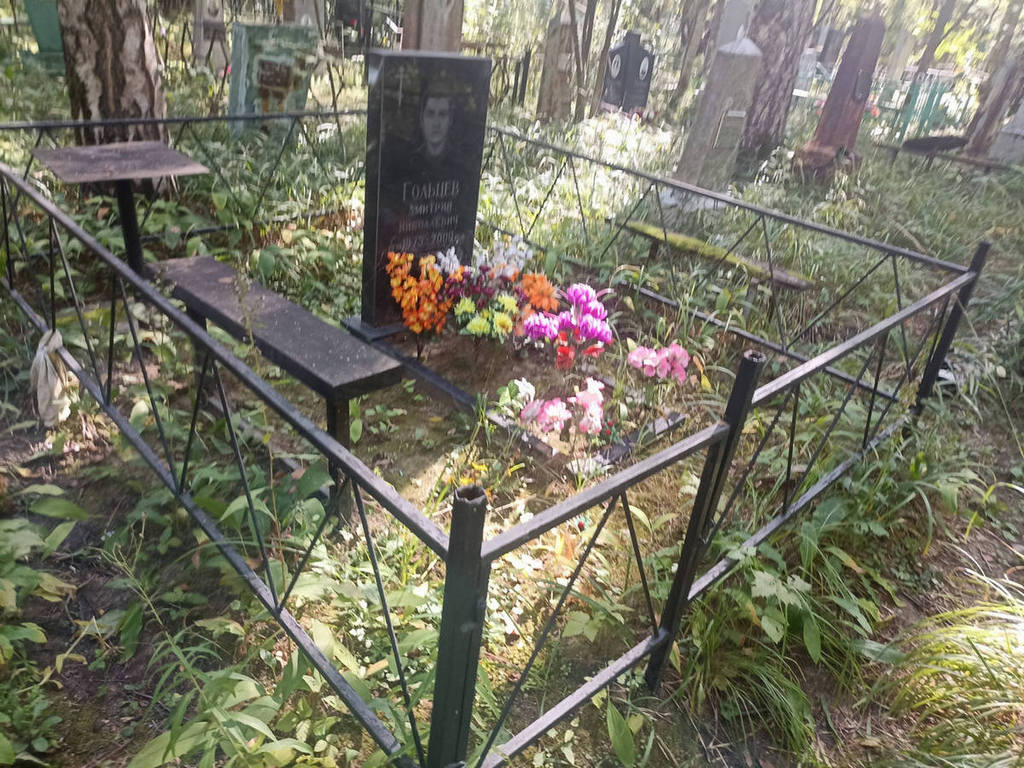 Гольцев Дмитрий Николаевич
