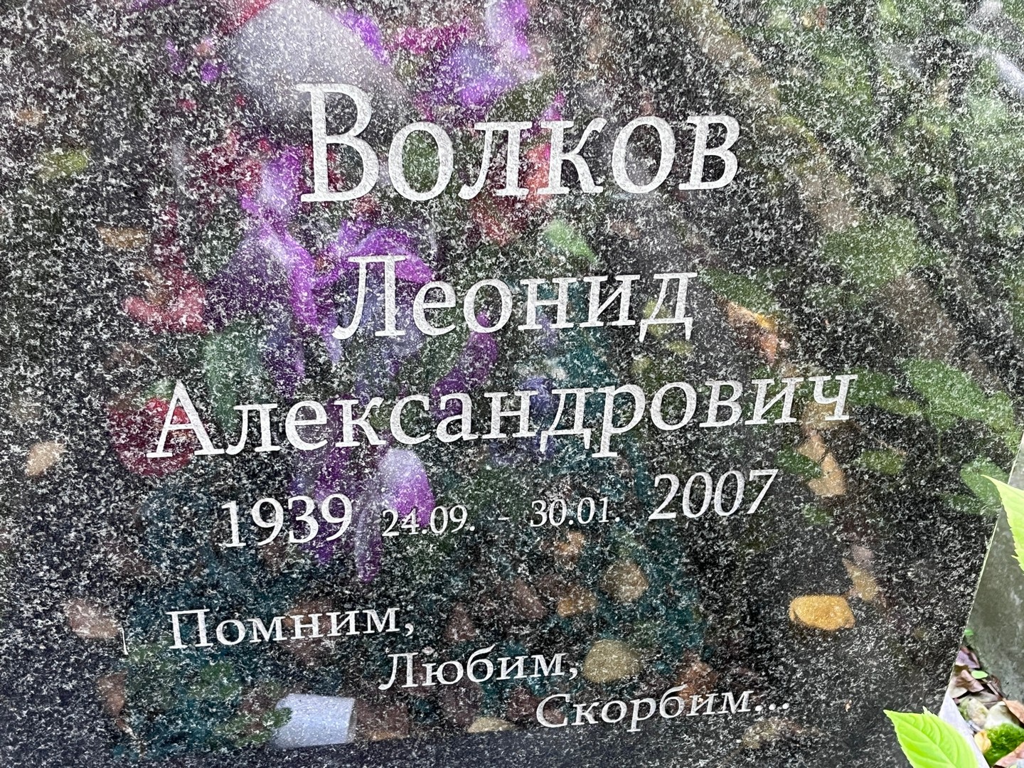 Волков