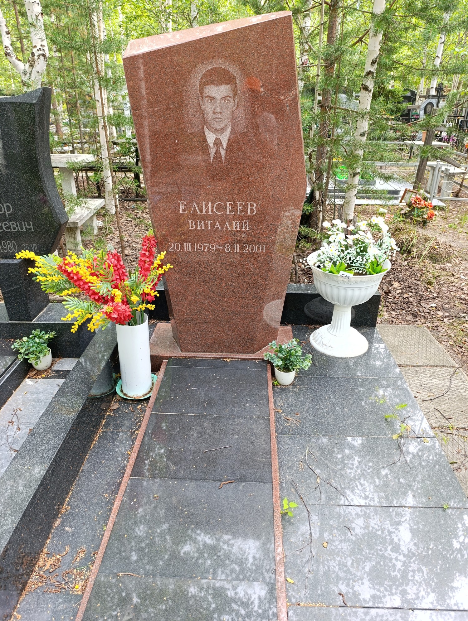 Елисеев Виталий