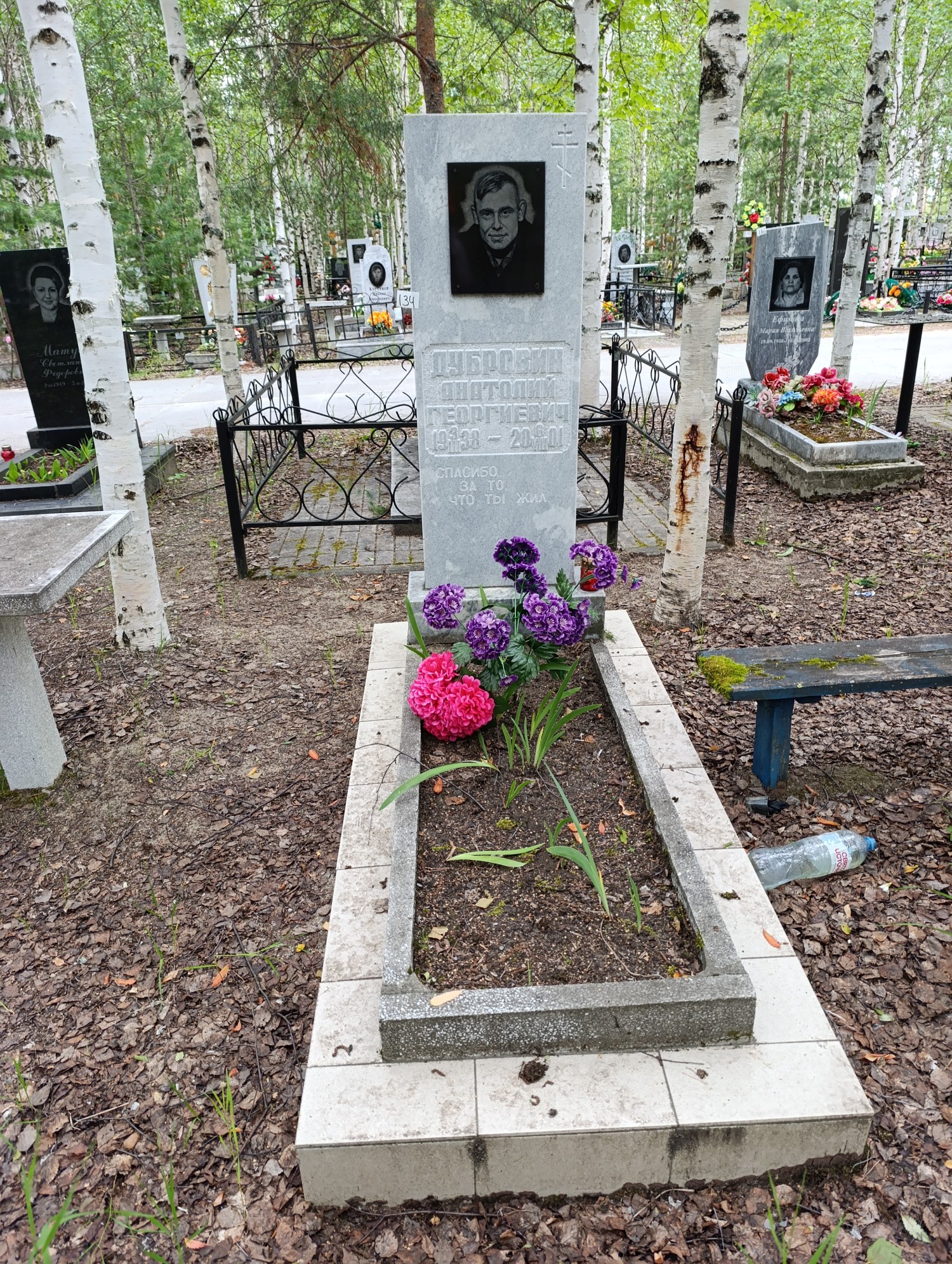 Дубровин Анатолий Георгиевич