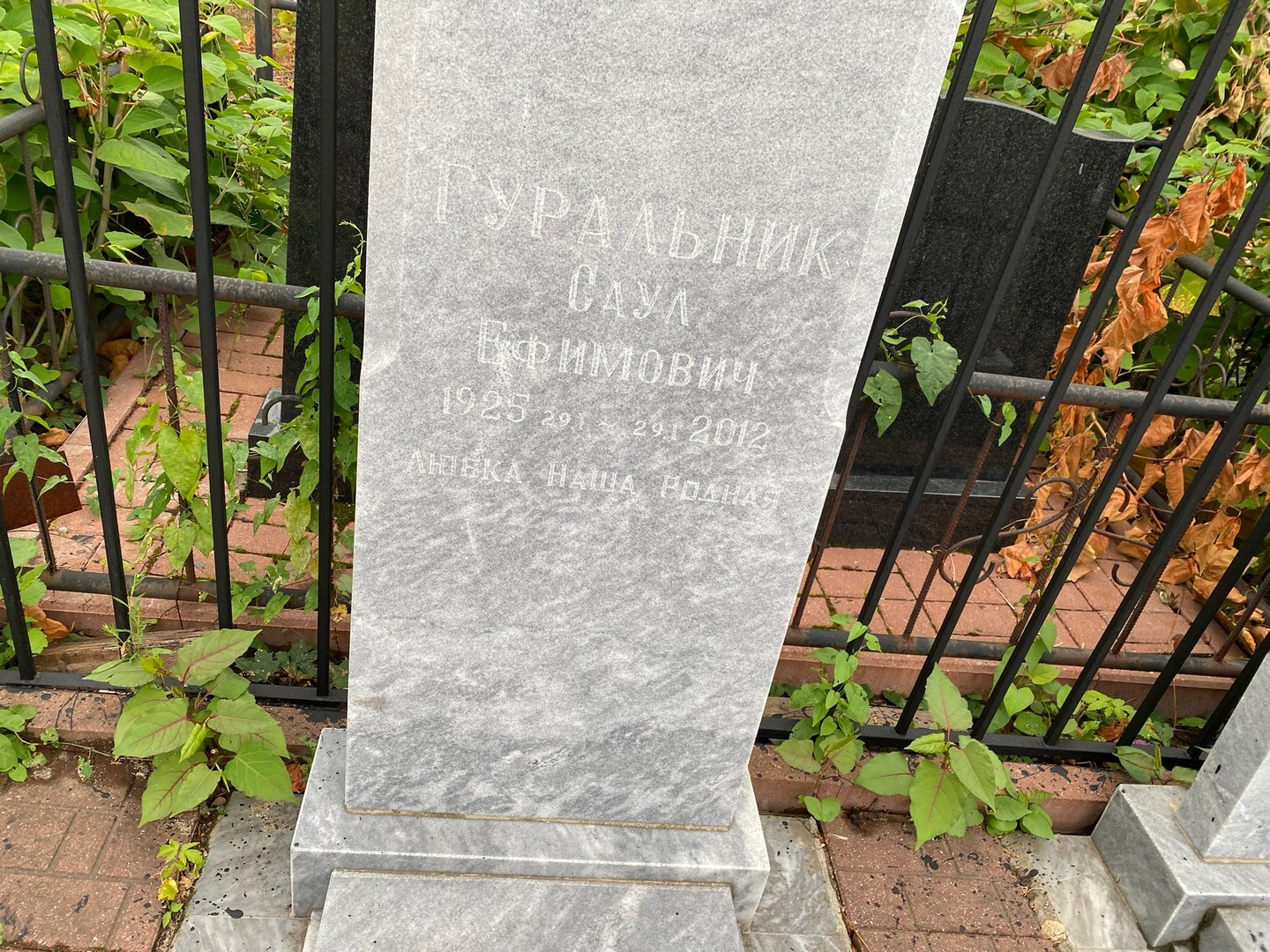 Саул Гуральник Ефимович