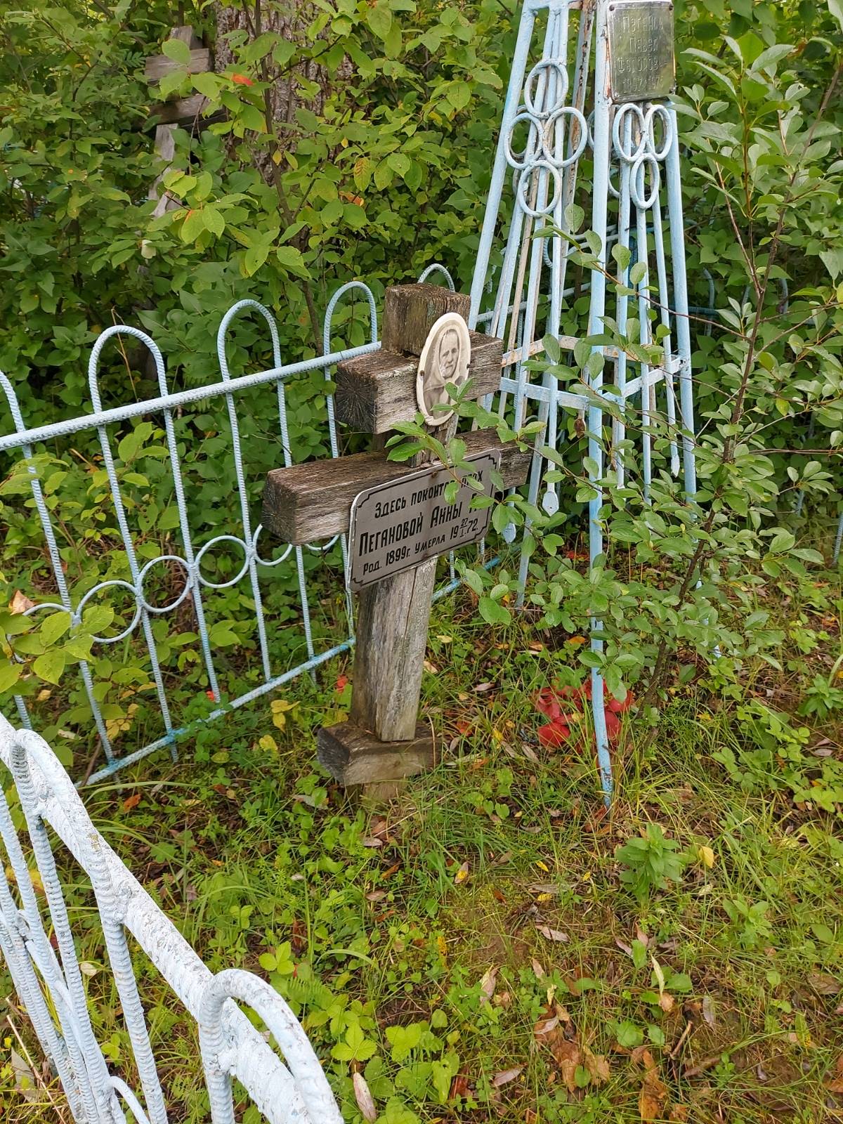 Пеганова Анна