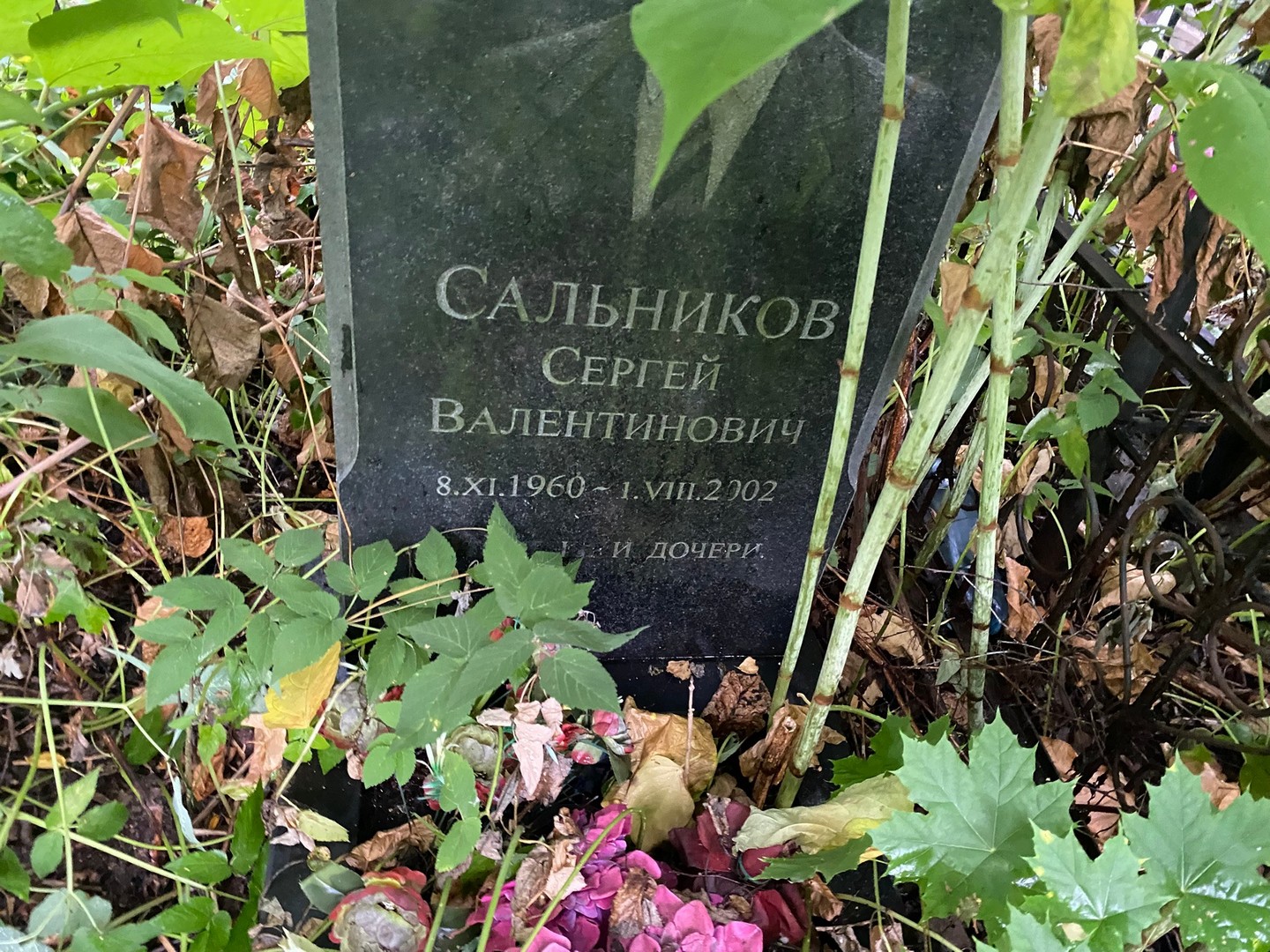 Сальников