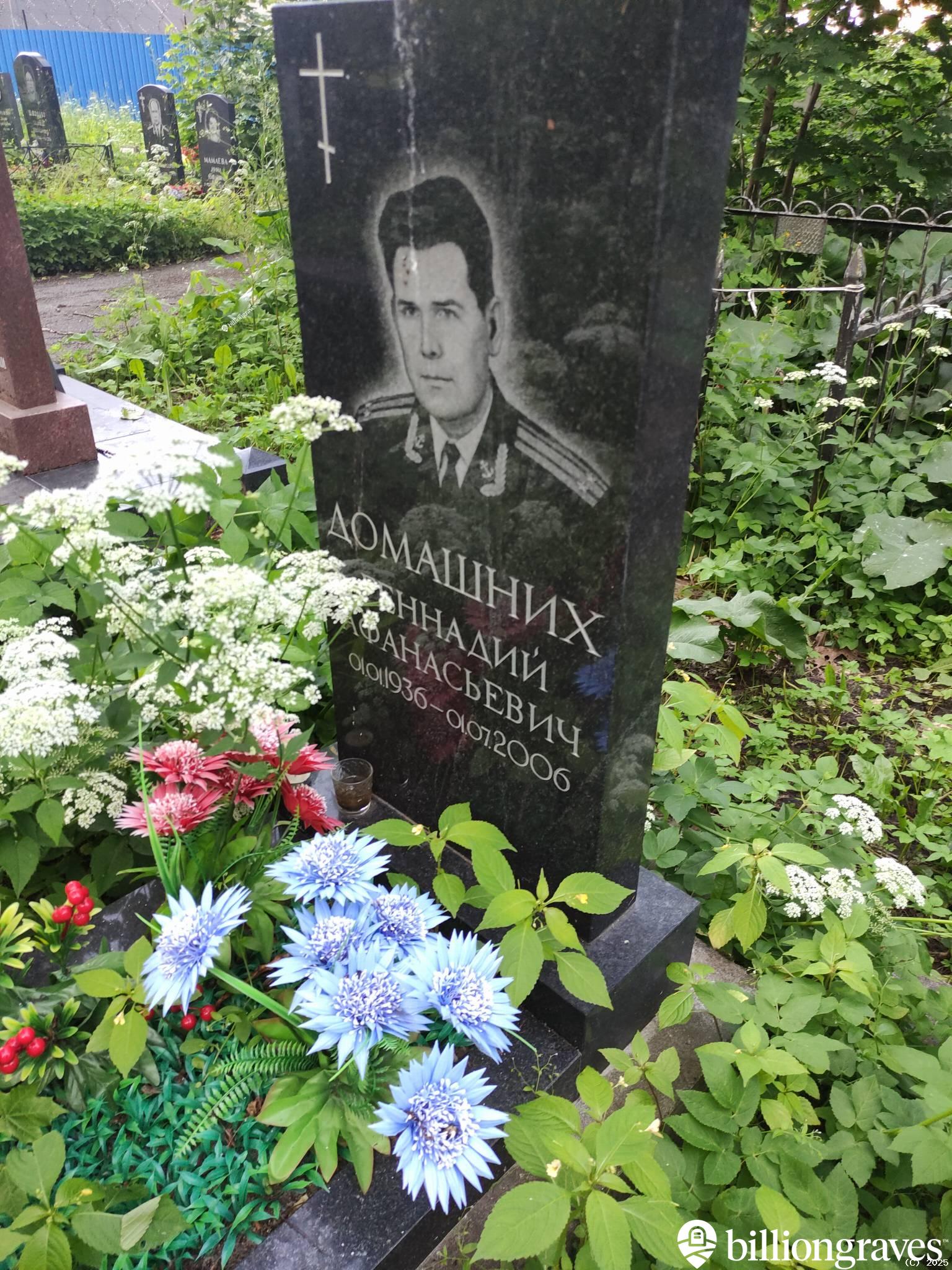 Домашних Геннадий Афанасьевич