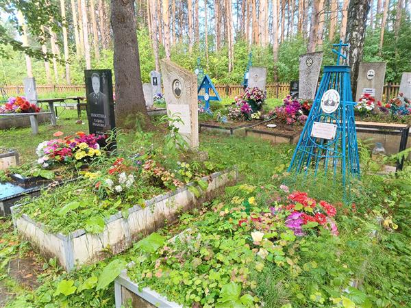 Никитин Александр Михайлович