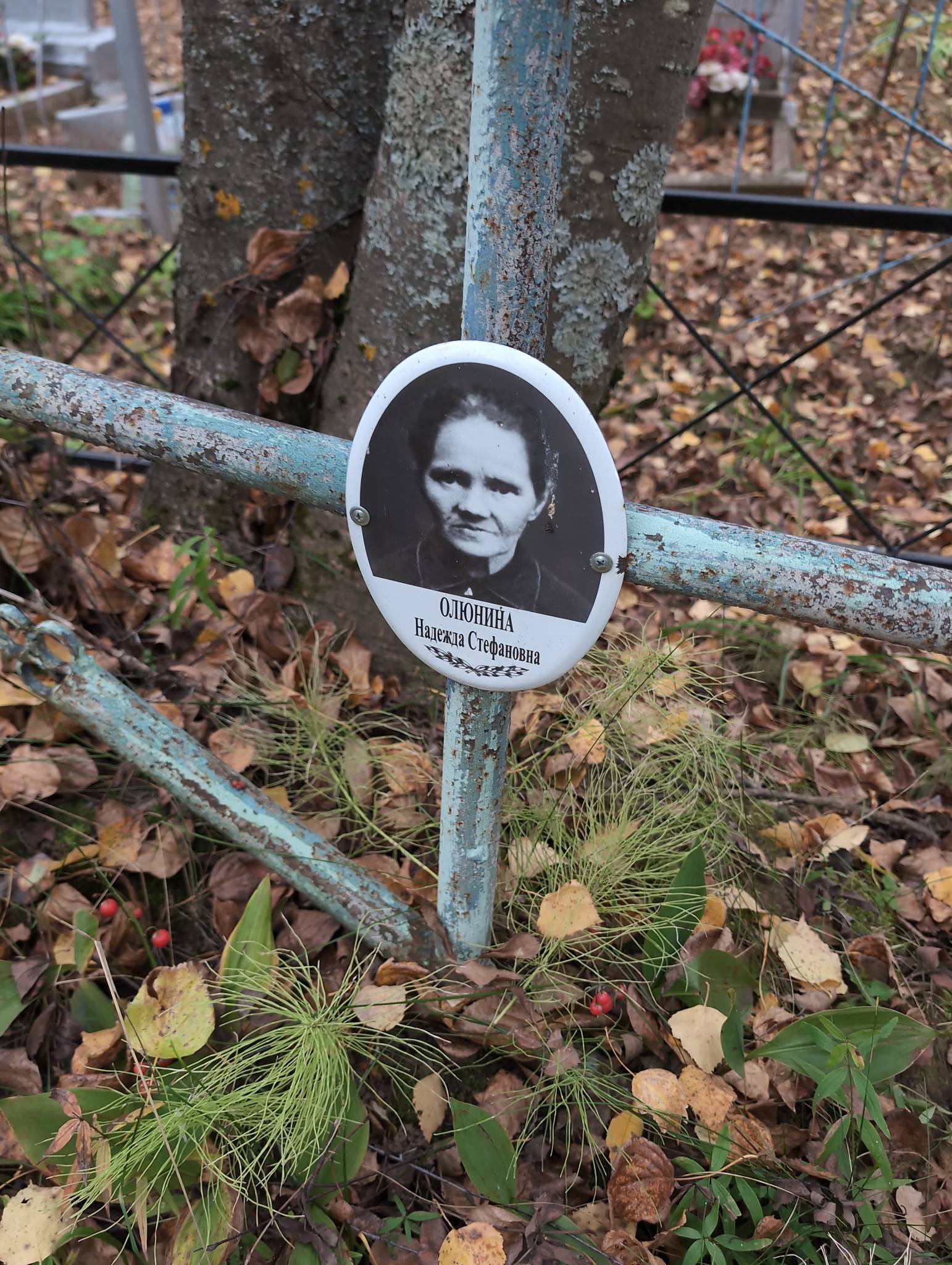 Олюнина Надежда Степановна