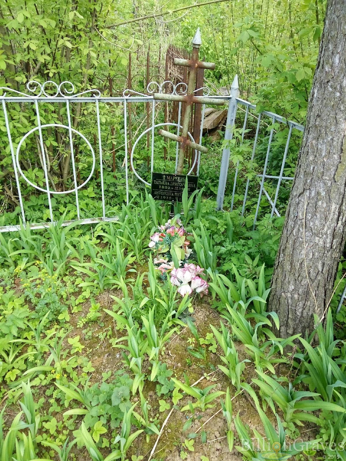 Мареева Антонина Петровна