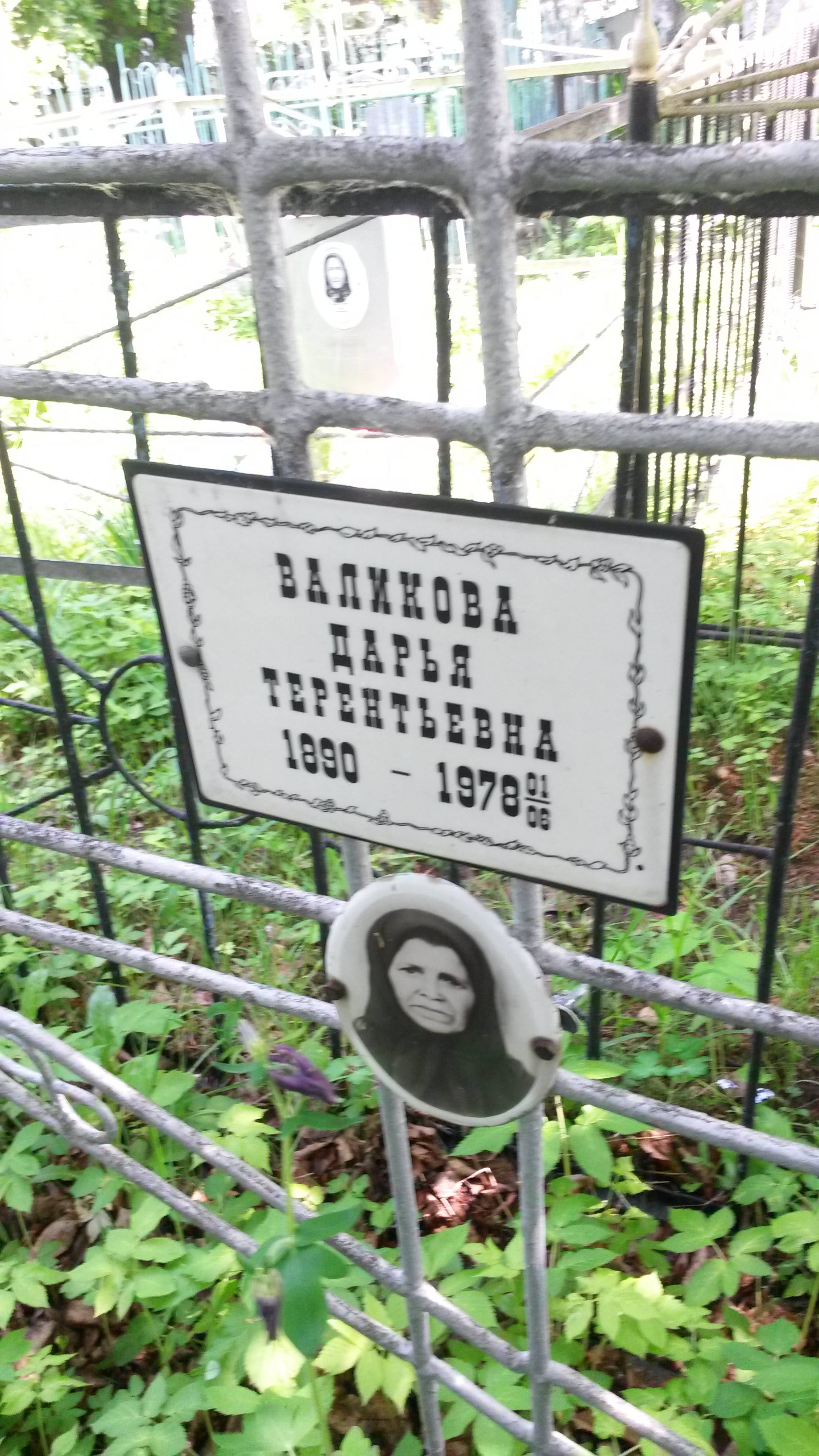 Валикова Дарья Терентьевна