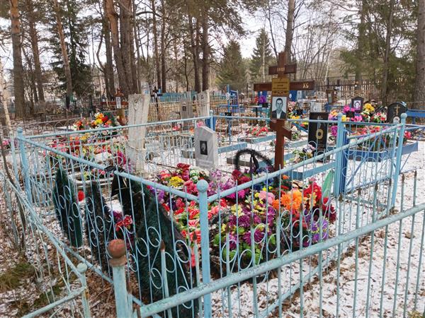 Сапожников Василий Васильевич