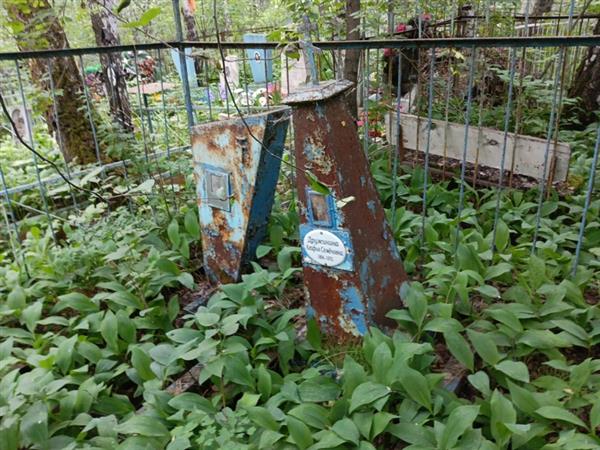 Дружинин Петор Харламович
