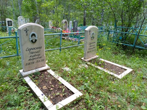 Сорокина Альвина Андреевна