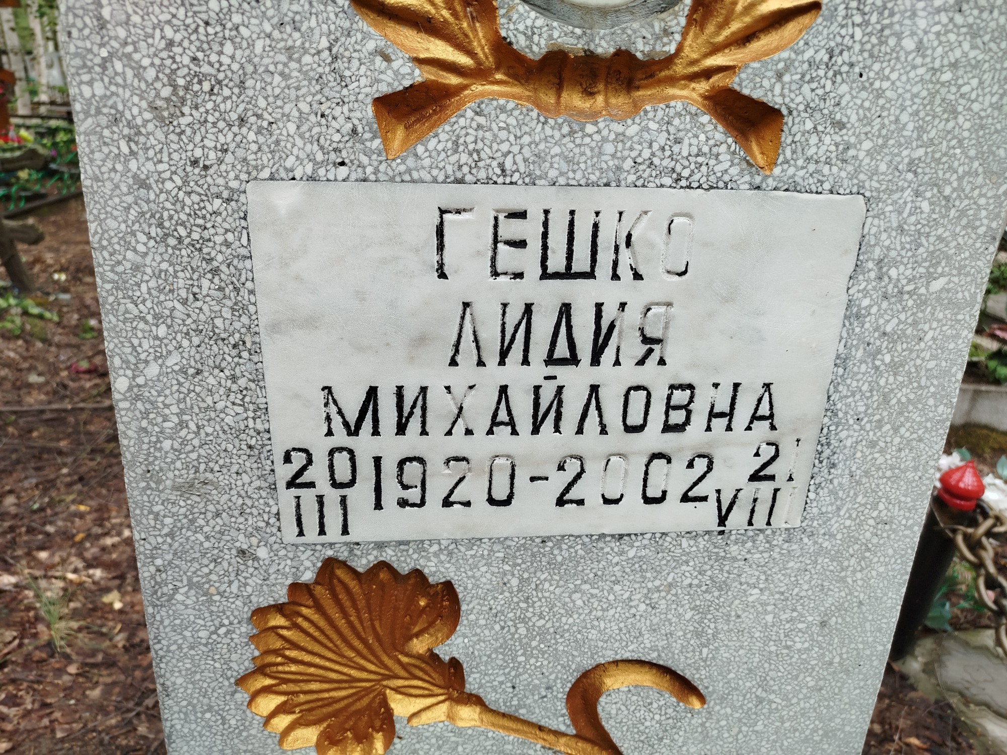 Гешко Лидия Михайловна