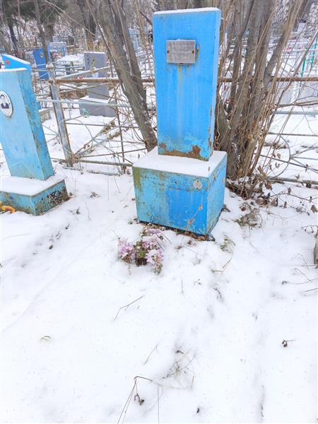 Абрашкина Ульяна Александровна