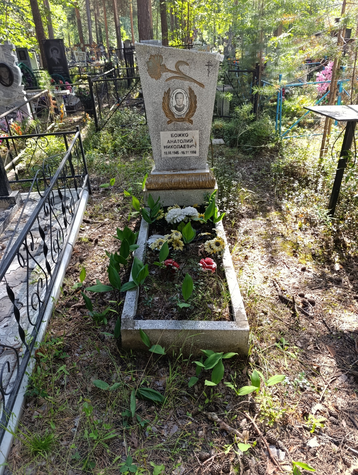 Божко Анатолий Николаевич