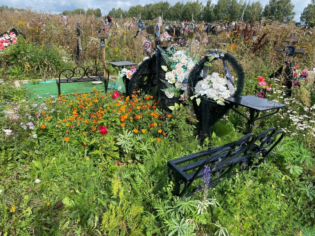 Донченко Мария Анатольевна