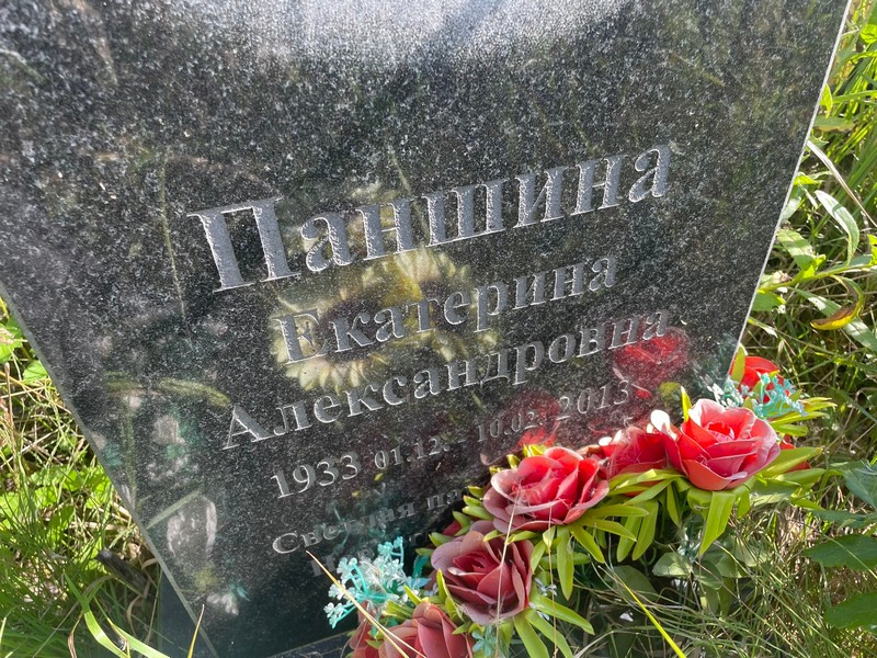 Паншина