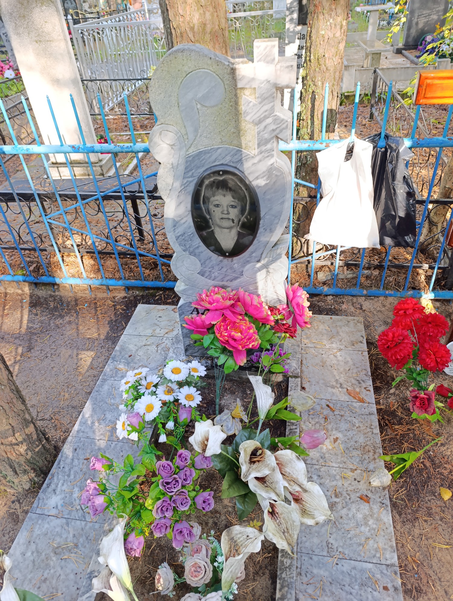 Алексеева Наталья Георгиевна