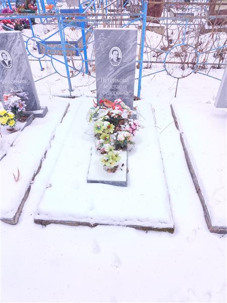 Путенкова Анастасия Фёдоровна