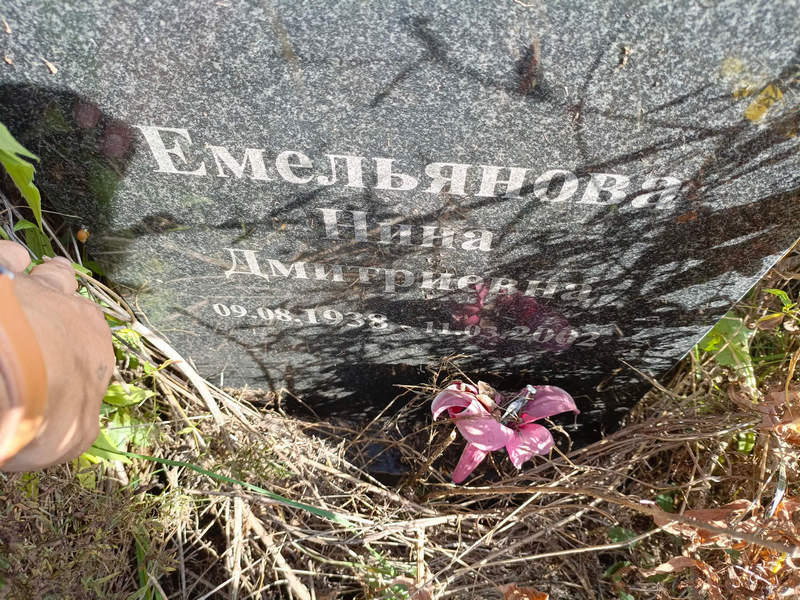 Емельянова