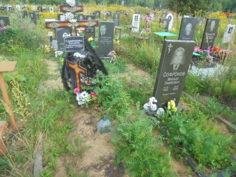 Сафронова Евгения Григорьевна