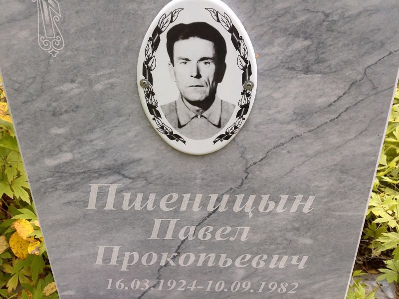 Пшеницын