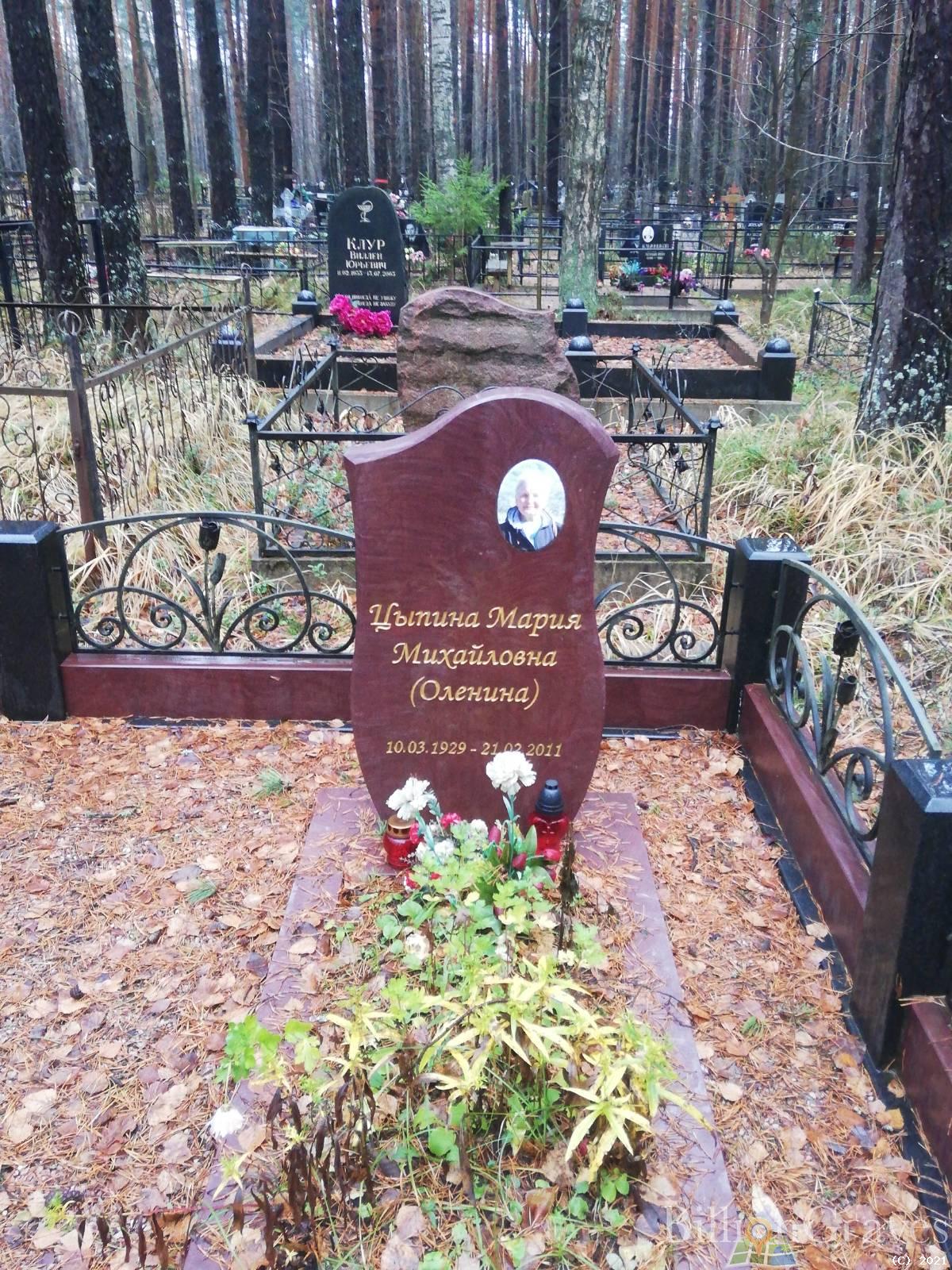Цыпина Мария Михайловна