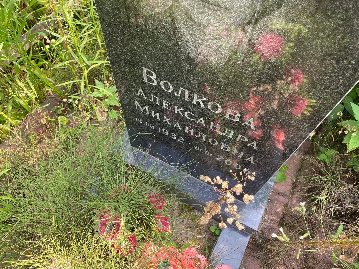 Волкова Александра Михайловна