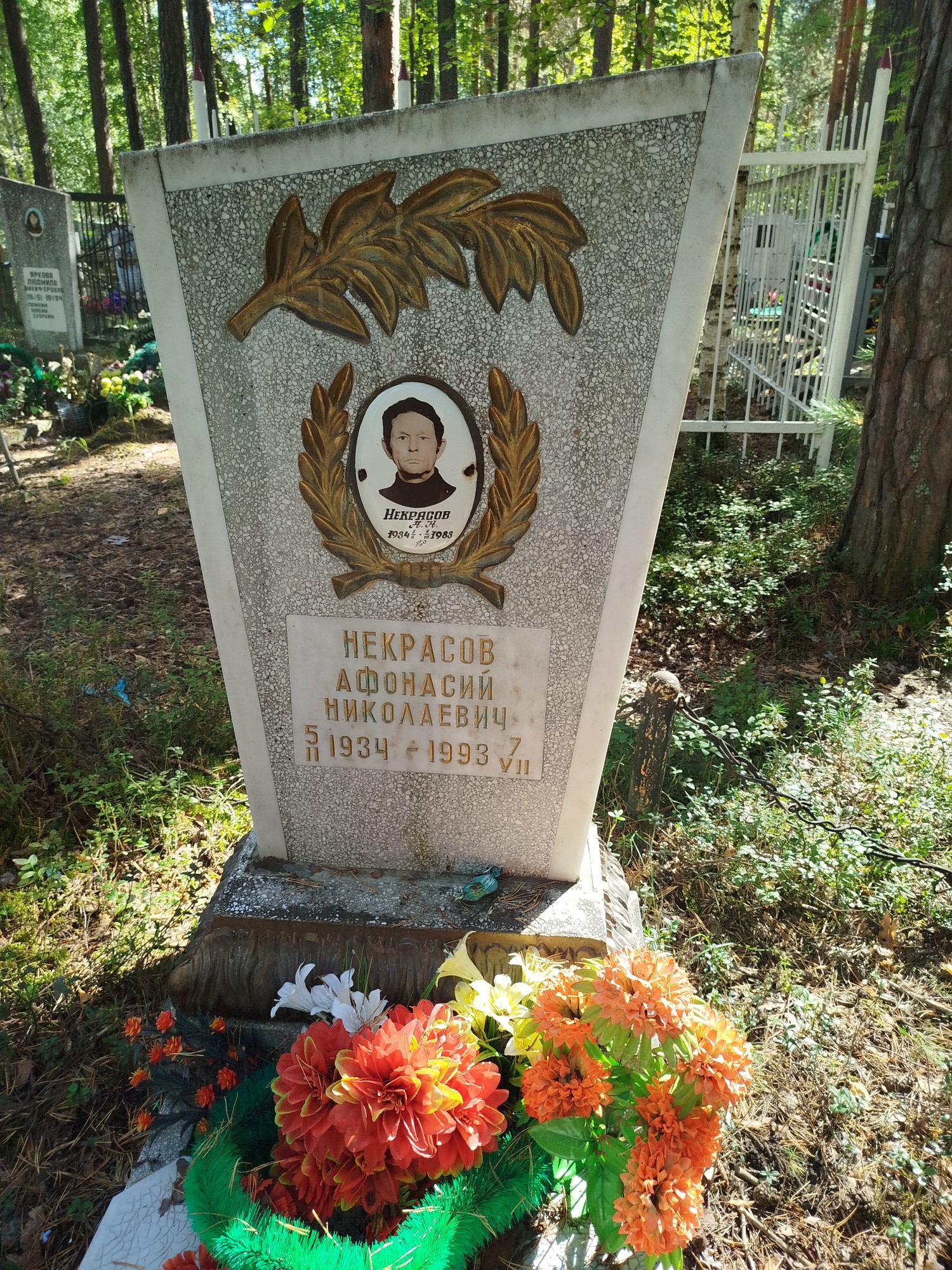 Некрасов Афонасий Николаевич
