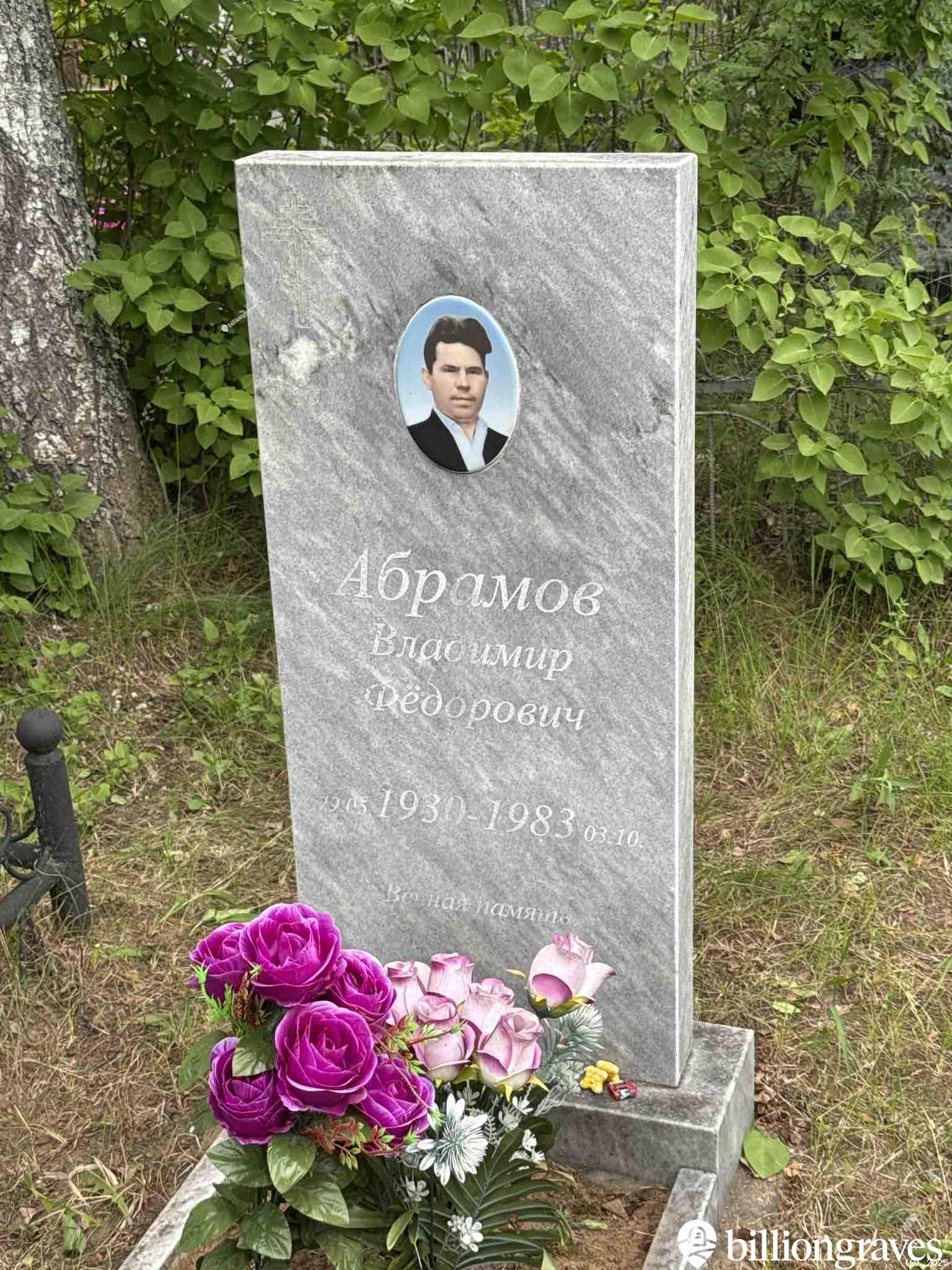 Абрамов Владимир Федорович