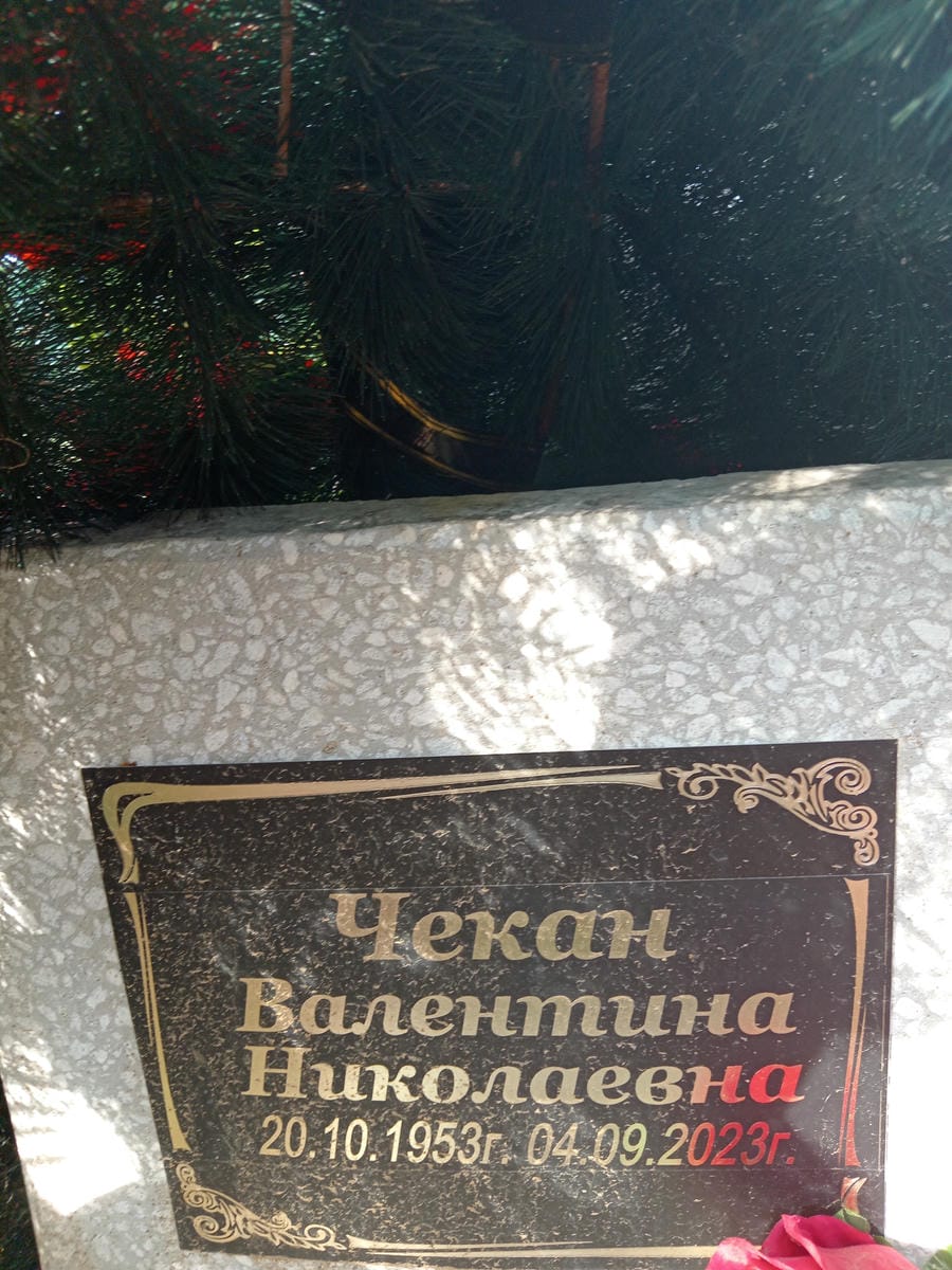 Чекан Валентина Николаевна