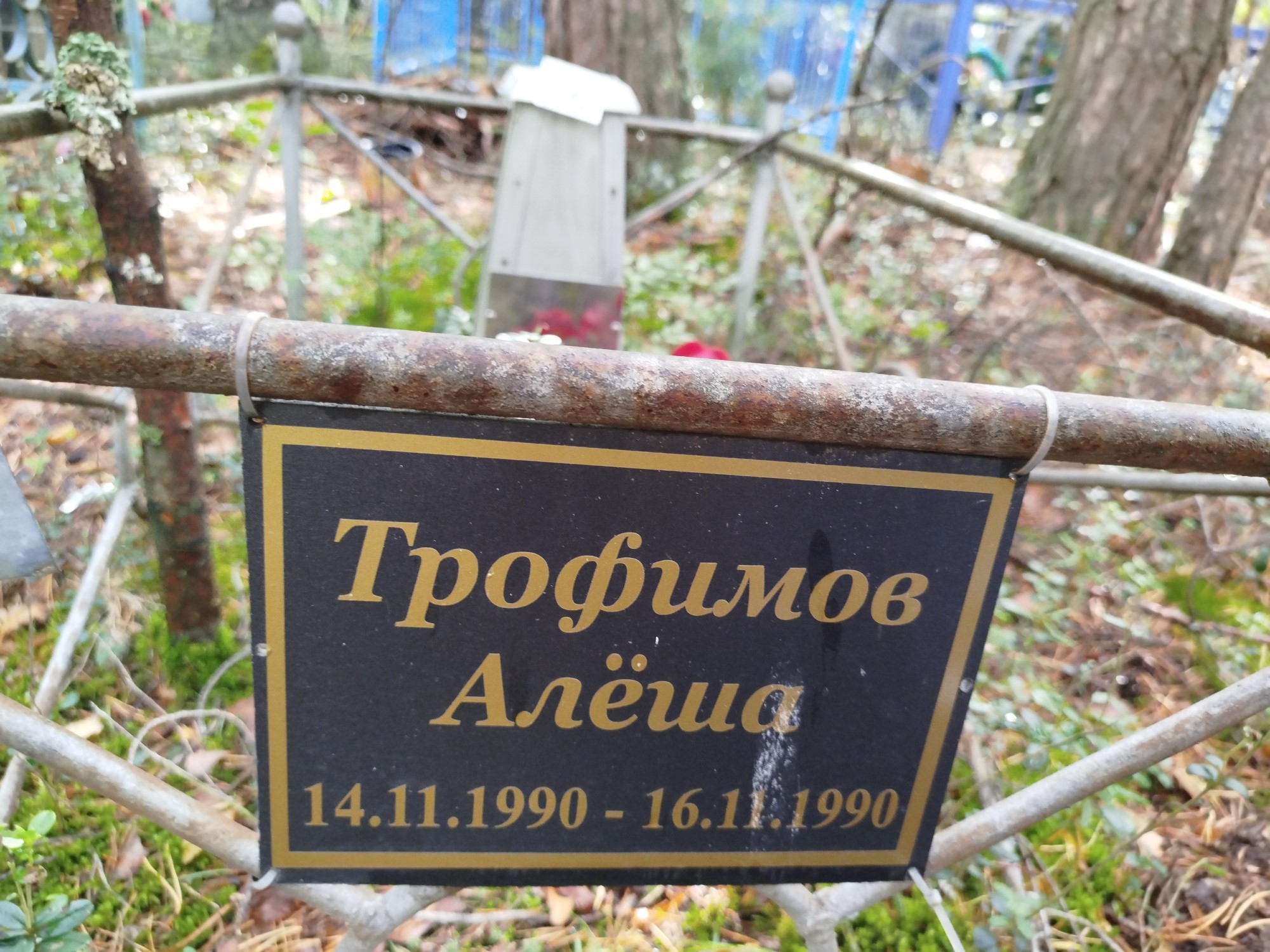 Трофимов Алексей