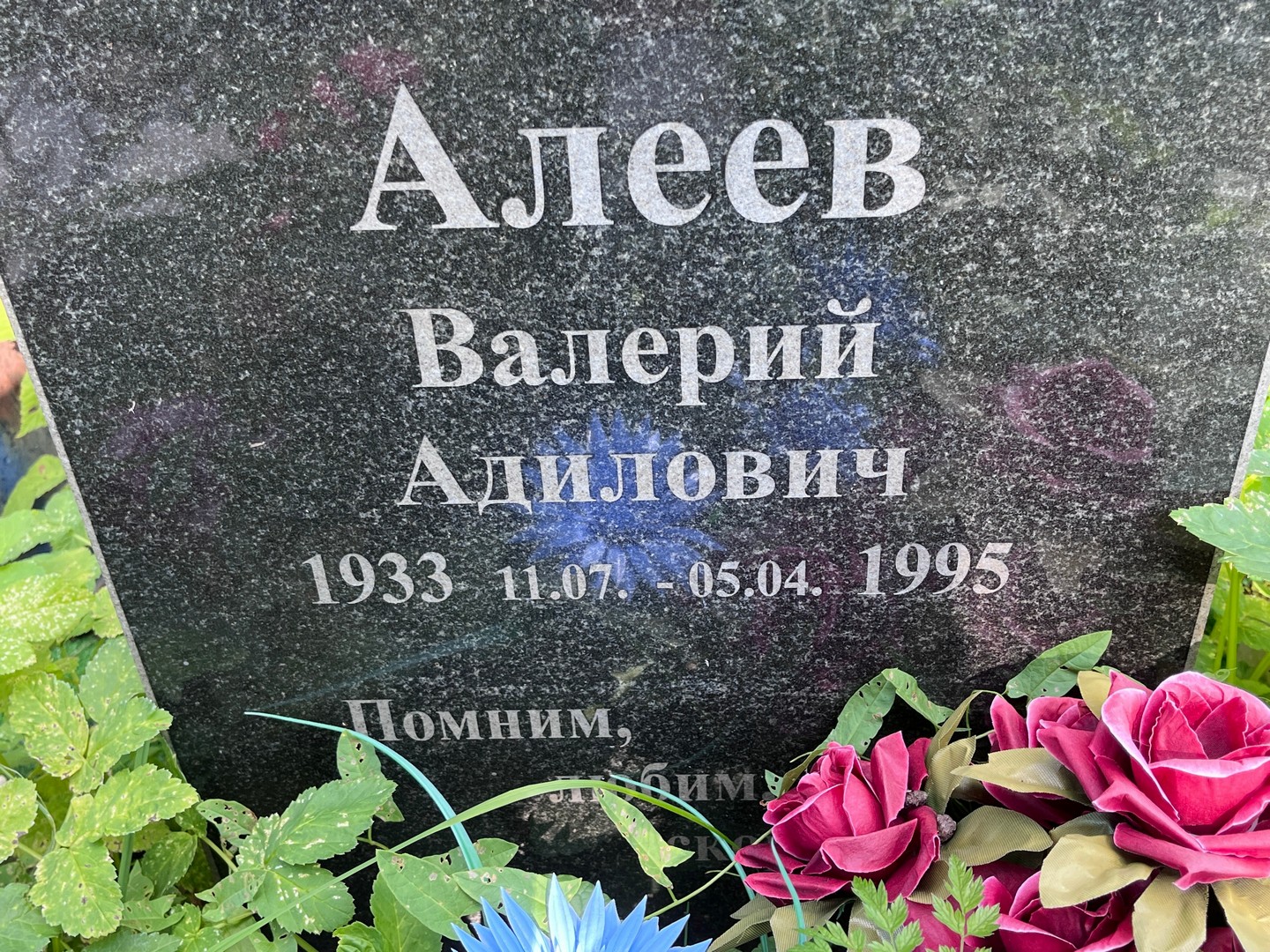 Алеев