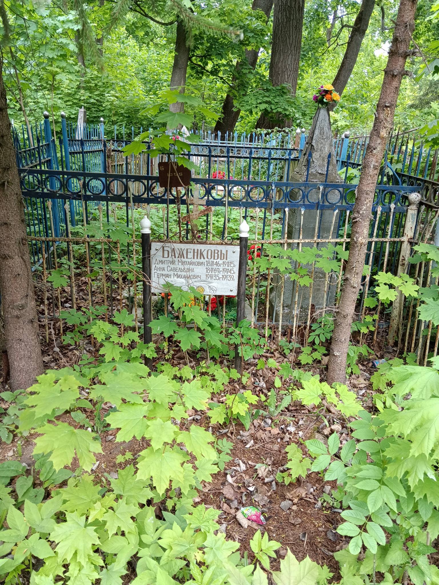 Баженкова Анна Савельевна