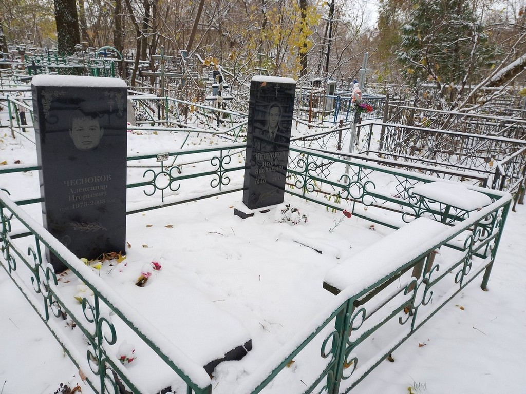 Чесноков Александр Игоревич
