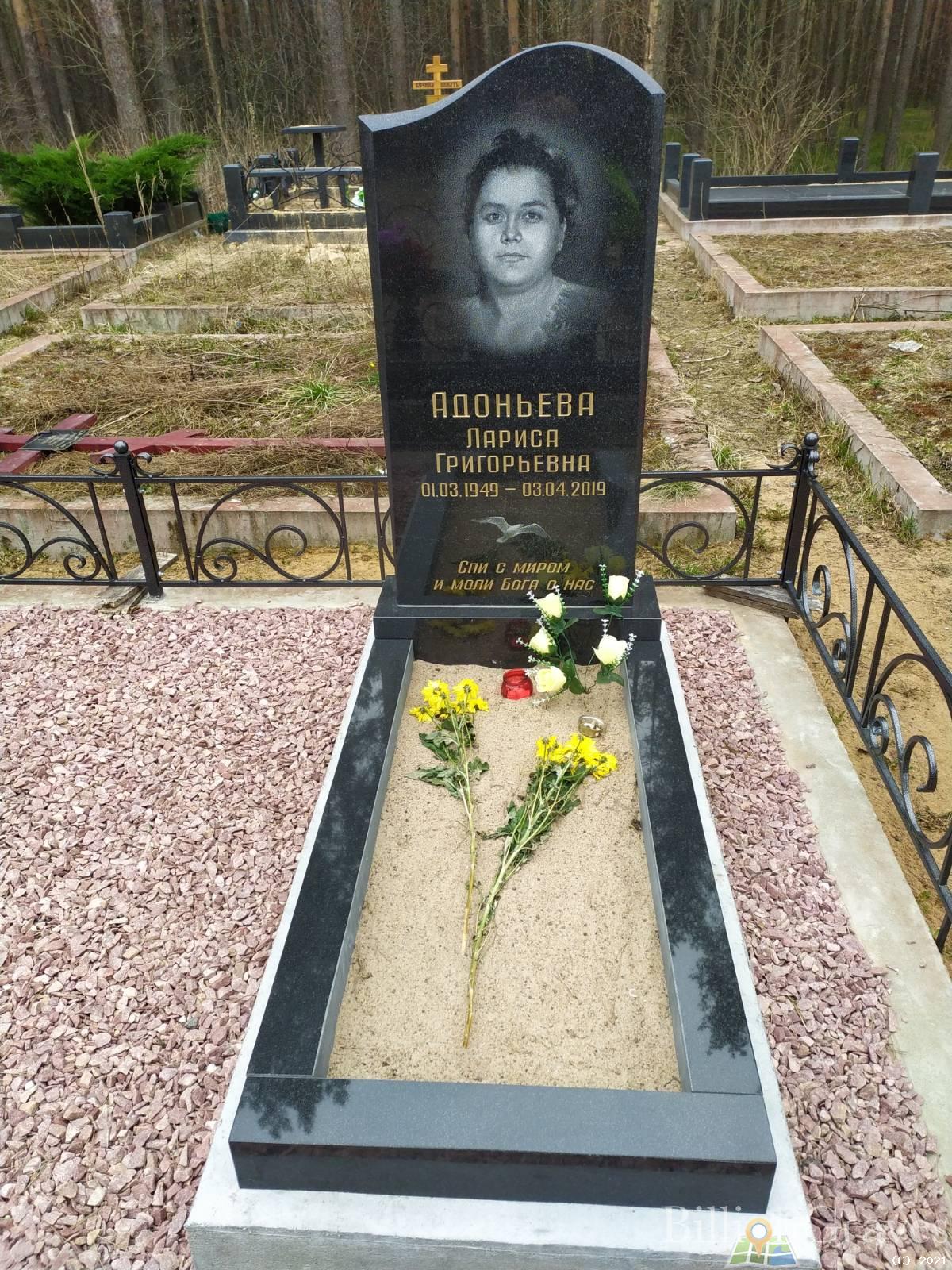 Адоньева Лариса Григорьевна